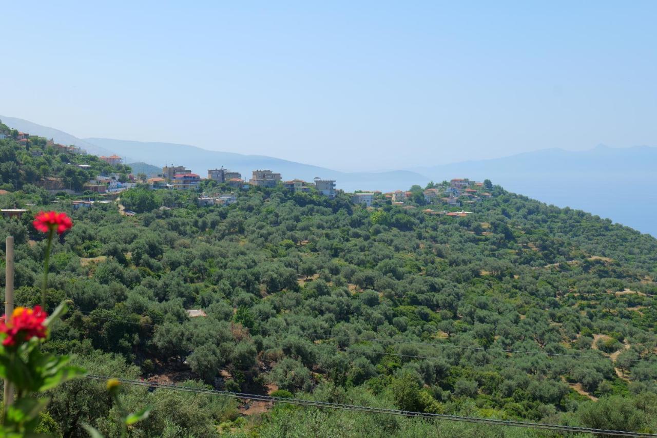 Vila Panorama Piqeras Bed and Breakfast Εξωτερικό φωτογραφία