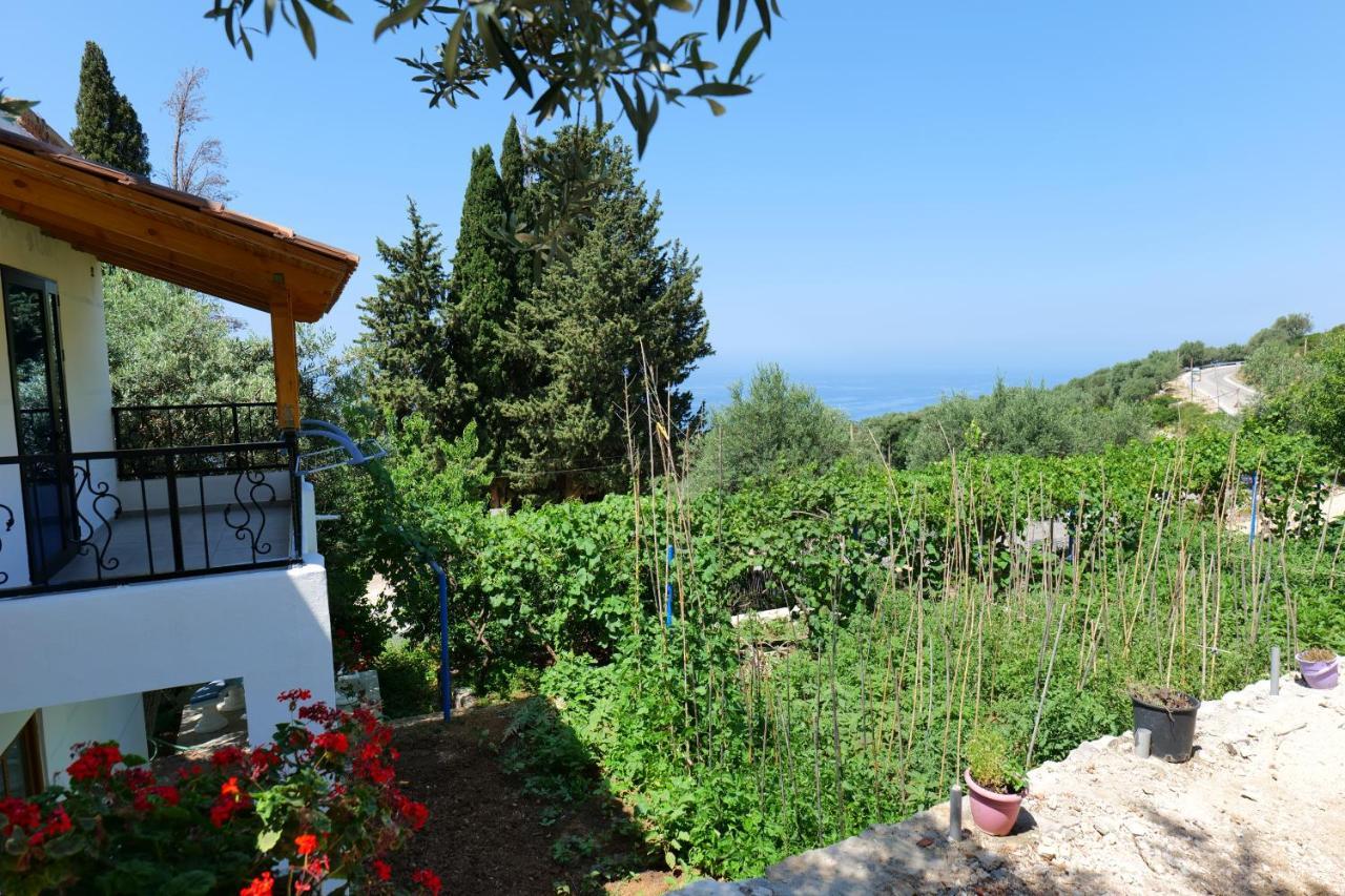 Vila Panorama Piqeras Bed and Breakfast Εξωτερικό φωτογραφία