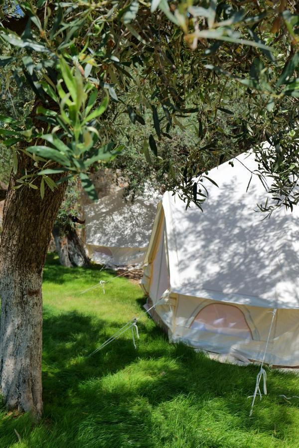 Vila Panorama Piqeras Bed and Breakfast Εξωτερικό φωτογραφία