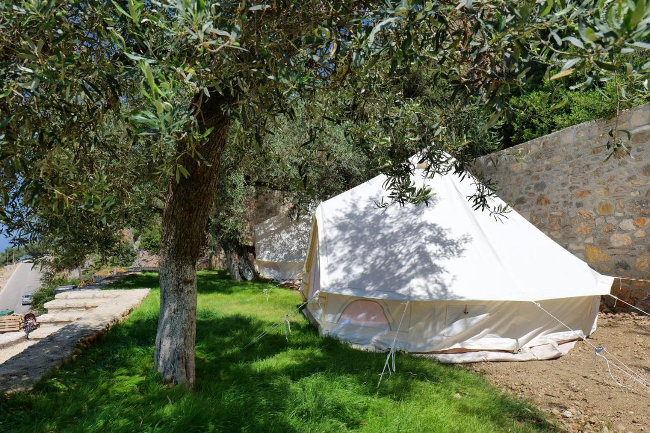 Vila Panorama Piqeras Bed and Breakfast Εξωτερικό φωτογραφία