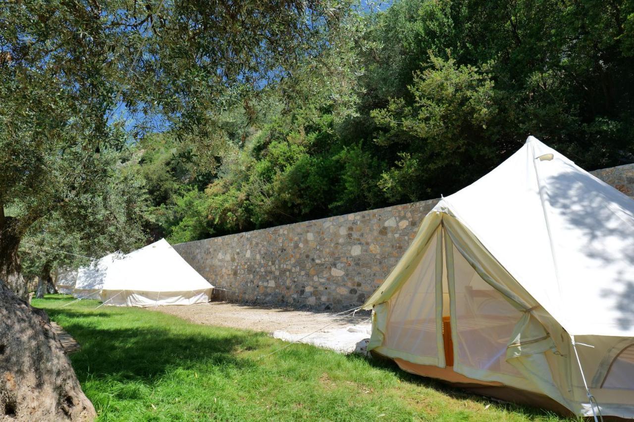Vila Panorama Piqeras Bed and Breakfast Εξωτερικό φωτογραφία