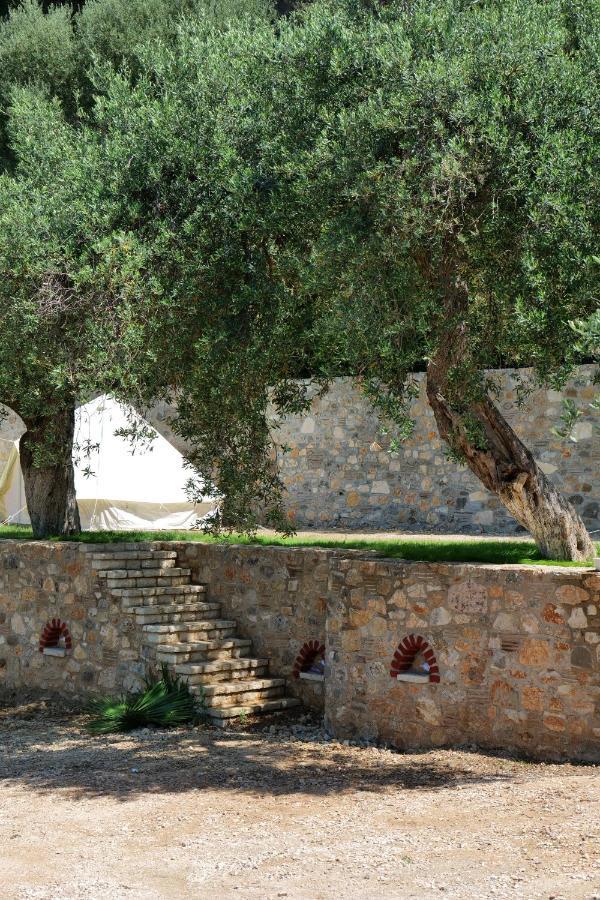 Vila Panorama Piqeras Bed and Breakfast Εξωτερικό φωτογραφία