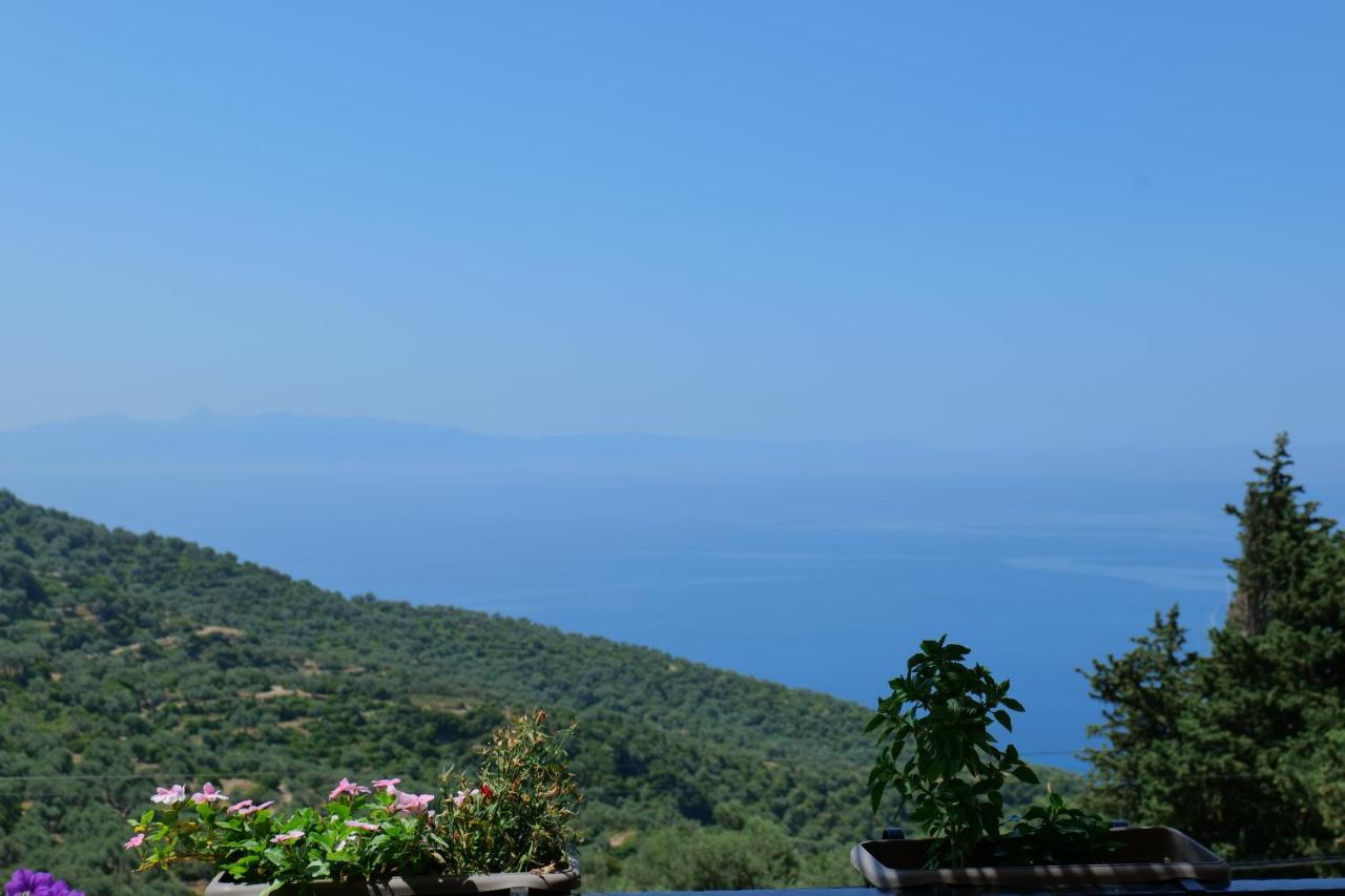 Vila Panorama Piqeras Bed and Breakfast Εξωτερικό φωτογραφία